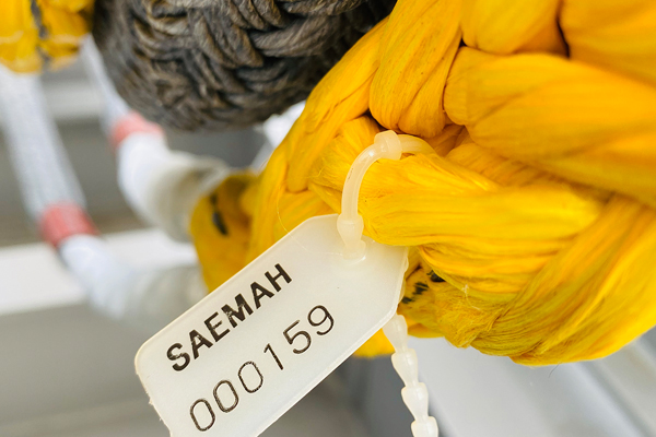 SIGMA UHMWPE Rope